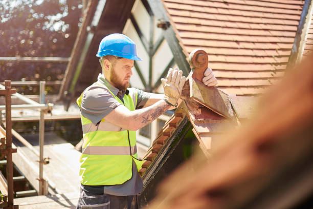 Best Sealant for Roof  in Delta Junction, AK