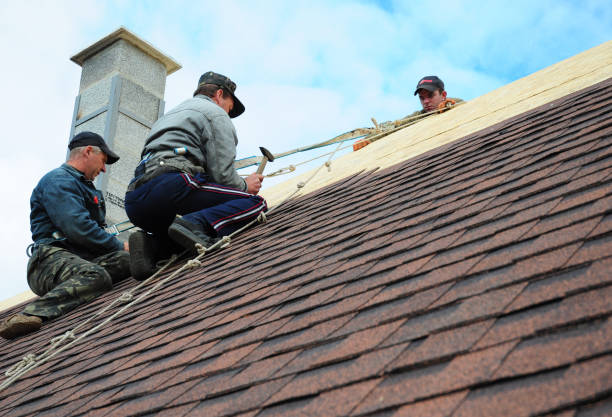 Quick and Trustworthy Emergency Roof Repair Services in Delta Junction, AK
