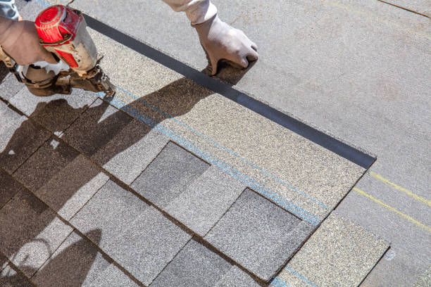 Best Roof Leak Repair  in Delta Junction, AK
