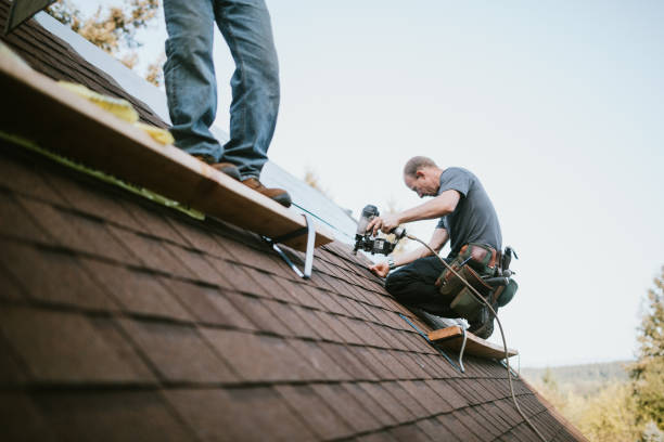 Best New Roof Installation  in Delta Junction, AK