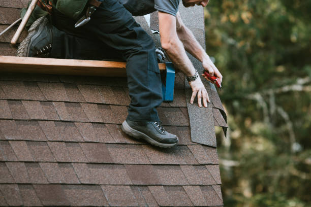 Best Roof Repair Services  in Delta Junction, AK